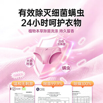 妇炎洁 内衣洗衣液内衣裤专用洗内裤液除菌清洗液220ml*1瓶本草鸢尾花香