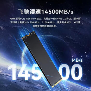 Lexar 2TB SSD固态硬盘 M.2接口(NVMe协议)