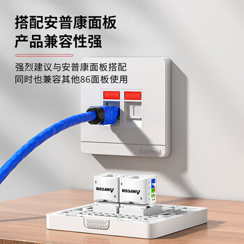 安普康（AMPCOM）网络面板带模块六类 双口千兆CAT6类网线插座 86型二位RJ45镀金网口明装暗装信息套装 AC173243