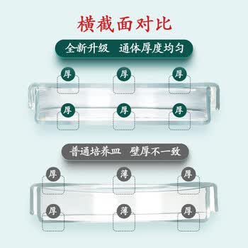 欣维尔玻璃培养皿高硼硅玻璃皿带盖细菌细胞培养皿实验室 高硼硅玻璃超平底120mm