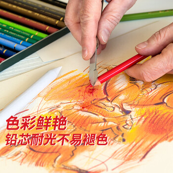辉柏嘉（Faber-castell）绿盒油性彩铅36色专业手绘艺术家大师级绘画绿铁盒套装110036美术节日开学礼物【梵高认证】画画笔