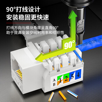 安普康（AMPCOM）网络面板带模块六类 双口千兆CAT6类网线插座 86型二位RJ45镀金网口明装暗装信息套装 AC173243