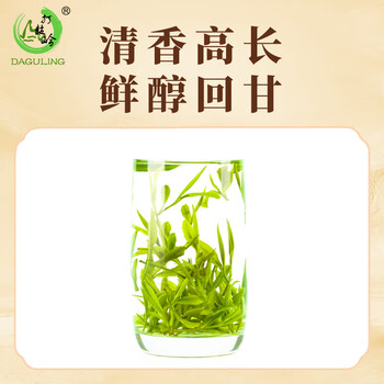 打鼓岭茶叶绿茶 正宗黄山毛峰200克春茶新茶（送礼袋）年货礼盒送人