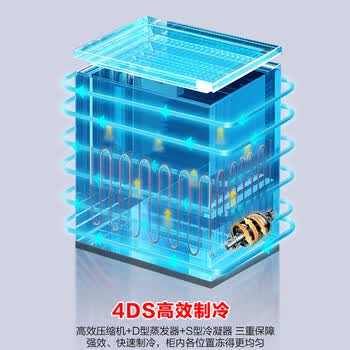 容声200L单温家用冰柜-40℃深冷速冻电脑精控每1度冰箱减霜节能冷柜BD/BC-200ZMSYB
