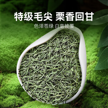 贡苑特级毛尖茶叶250g新茶明前嫩芽正宗栗香信阳口感自己喝