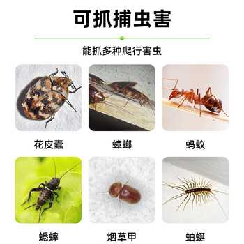 九品祥光谱诱捕器5片强力多功能粘捕屋厨房仓库灭除烟甲虫衣鱼米蛾苍蝇