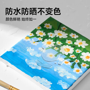 青竹画材（CHINJOO）丙烯颜料300g淡紫颜料美术生无毒油画室内外防水防晒不掉色白色金色diy美育工具