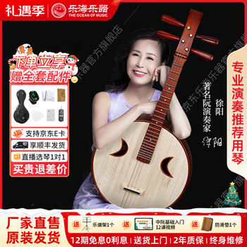 中国　中阮 乐海中阮价格报价行情- 京东