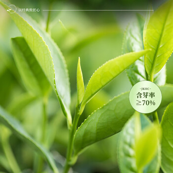 茗杰安溪铁观音  清香型兰花香 口粮茶叶自己喝 袋装500g