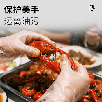 英科医疗一次性手套PVC手套100只中码洗碗厨房美容家务透明防水食品级手套