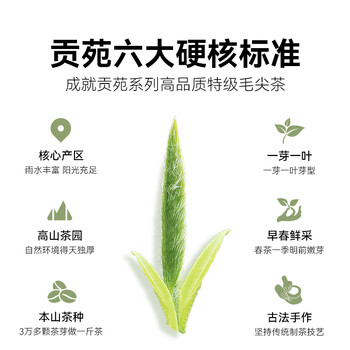 贡苑特级毛尖茶叶250g新茶明前嫩芽正宗栗香信阳口感自己喝
