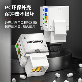 安普康（AMPCOM）网络面板带模块六类 双口千兆CAT6类网线插座 86型二位RJ45镀金网口明装暗装信息套装 AC173243