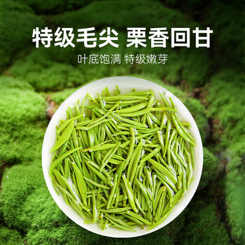 贡苑特级毛尖茶叶250g新茶明前嫩芽正宗栗香信阳口感自己喝