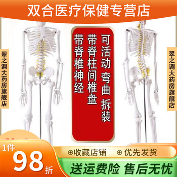 人体骨骼模型170cm品牌及商品- 京东