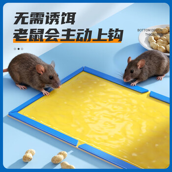 绿叶（Green Leaf）粘鼠板50张/箱 小超人老鼠粘板强效胶黏老鼠贴耗子粘板企业装