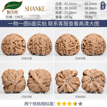 希少文玩核桃 南疆石天使の翼 南疆石老树品牌及商品- 京东