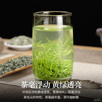陈一凡毛尖茶250g 特级浓香型春茶明前炒青绿茶茶叶袋装