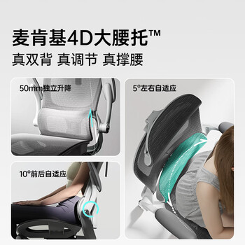 黑白调P2Pro二代人体工学椅电脑椅办公椅电竞椅子人工力学座椅4D腰托