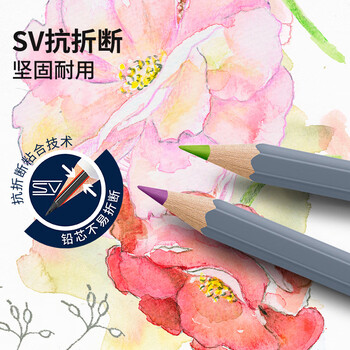 辉柏嘉（Faber-castell）水溶性彩铅笔24色专业手绘美术生专用蓝铁盒彩色铅笔GoldfaberAqua系列114624美术生专用写生
