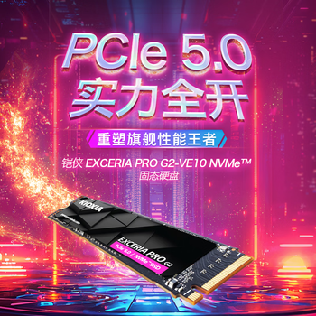 铠侠(Kioxia)2TB SSD固态硬盘 NVMe M.2接口 EXCERIA PRO G2 VE10 系列(PCIe 5.0 产品) 铠侠(Kioxia)2TB SSD固态硬盘 NVMe M.2接口 EXCERIA PRO G2 VE10 系列(PCIe 5.0 产品)
