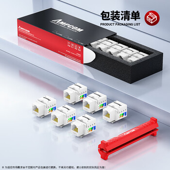 安普康（AMPCOM）网络面板带模块六类 双口千兆CAT6类网线插座 86型二位RJ45镀金网口明装暗装信息套装 AC173243