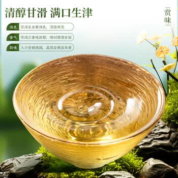 茗杰安溪铁观音  清香型兰花香 口粮茶叶自己喝 袋装500g