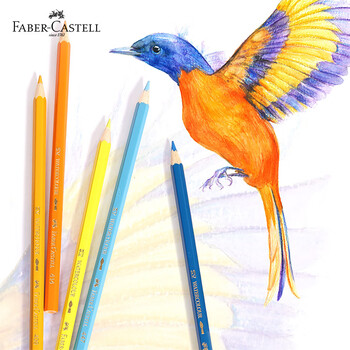辉柏嘉（Faber-castell）水溶性彩铅笔48色彩色铅笔笔帘套装手绘专业画笔48色水溶彩色铅笔+50孔笔帘速写马克笔绘画