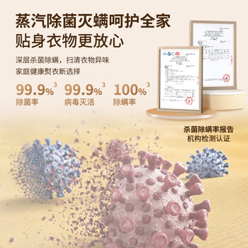 飞利浦（PHILIPS）烫衣服家用白魔方强力单杆手持电熨斗蒸汽挂烫机立式熨烫机熨斗 STE1050/10 礼物