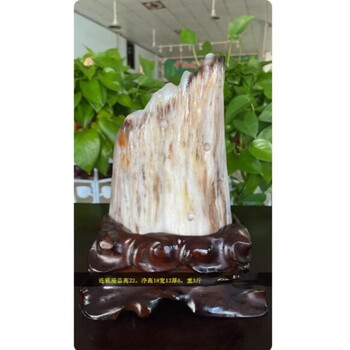 木化玉原石价格报价行情- 京东