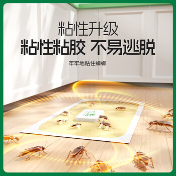 绿叶蟑螂粘板捕蟑螂屋10片/盒新配方引诱剂2130ZZ