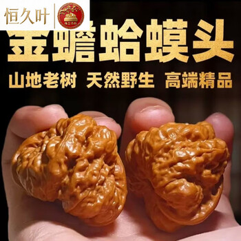 文完核桃金蝉品牌及商品- 京东
