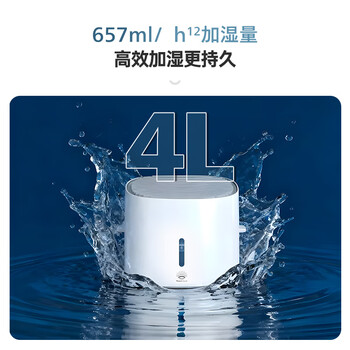 飞利浦（PHILIPS）空气净化器加湿滤网滤芯官方正品FY3455/00适用于飞利浦加湿净化一体机AC3737/00/KJ450F-C37配件