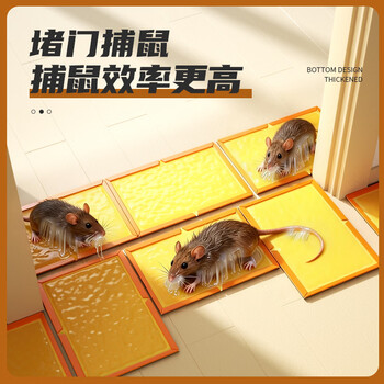加品惠粘鼠板5张装强效加厚灭鼠黏鼠贴捉捕老鼠贴花生香味