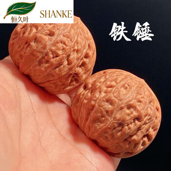 铁核桃文玩核桃品牌及商品- 京东