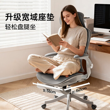 黑白调P2Pro二代人体工学椅电脑椅办公椅电竞椅子人工力学座椅4D腰托