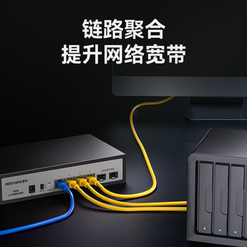 磊科（netcore）GS6 6口网管型2.5G交换机 4个2.5G电口+2个万兆SFP光口 千兆网络分线器 支持vlan链路聚合/NAS光猫