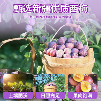 信盛堂100%纯西梅汁原浆大餐救星0脂0蔗糖膳食纤维解腻果蔬NFC饮料300ml