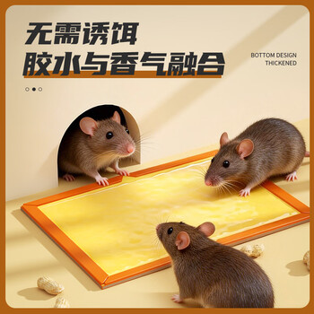 加品惠粘鼠板5张装强效加厚灭鼠黏鼠贴捉捕老鼠贴花生香味