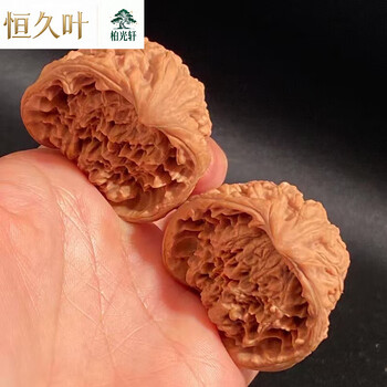 【東京文玩育成】文玩核桃 原樹吸血鬼官帽 32x31x43mm 文玩核桃异型价格报价行情- 京东