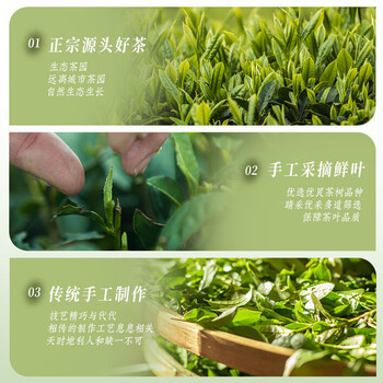 茗杰安溪铁观音  清香型兰花香 口粮茶叶自己喝 袋装500g
