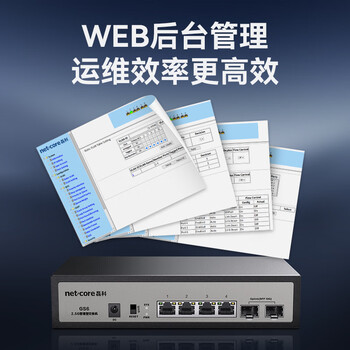 磊科（netcore）GS6 6口网管型2.5G交换机 4个2.5G电口+2个万兆SFP光口 千兆网络分线器 支持vlan链路聚合/NAS光猫