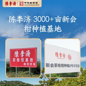 陈李济茗茶广府致味新会老陈皮十年足年陈化40g盒装礼品送礼礼盒