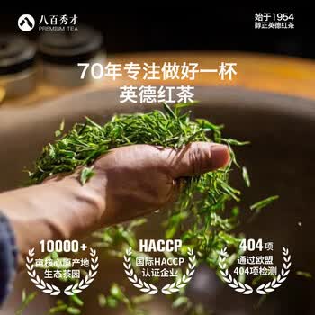 八百秀才广东特产英德红茶英红九号 茶叶礼盒送礼醇香型500g新包装 赠礼袋