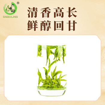 打鼓岭茶叶绿茶安徽黄山毛峰正宗原产地新茶春茶独立小袋装30g(5g*6袋)