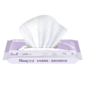 舒洁（Kleenex）湿厕纸24抽*10包湿厕纸小包洁厕湿纸巾湿厕纸女性专用湿巾厕纸
