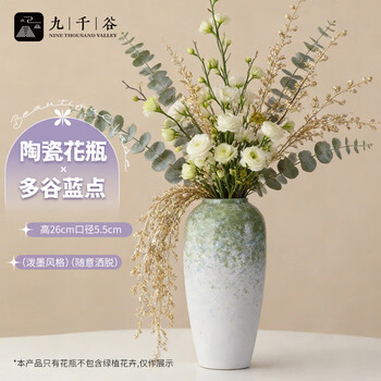 清代青花瓷花瓶价格报价行情- 京东