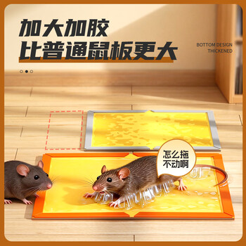 加品惠粘鼠板5张装强效加厚灭鼠黏鼠贴捉捕老鼠贴花生香味