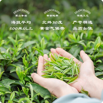 山茶师杭州红茶特级九曲红梅原产地自饮口粮茶尝鲜小罐装30g*1