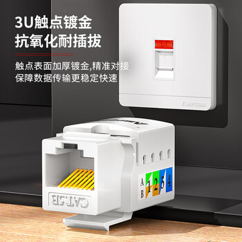 安普康（AMPCOM）网络面板带模块六类 双口千兆CAT6类网线插座 86型二位RJ45镀金网口明装暗装信息套装 AC173243