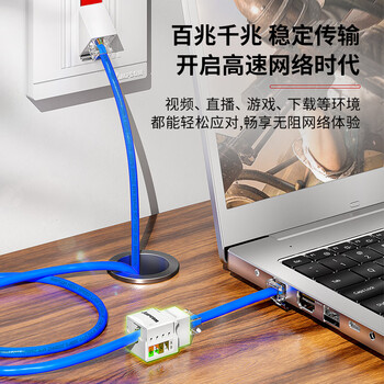 安普康（AMPCOM）网络面板带模块六类 双口千兆CAT6类网线插座 86型二位RJ45镀金网口明装暗装信息套装 AC173243